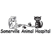 Somerville Animal Hospital gallery
