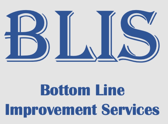 Bottom Line Improvement Services