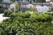 Garden Center at The Home Depot - Garden Centers