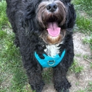 Sensible Pet Care Services