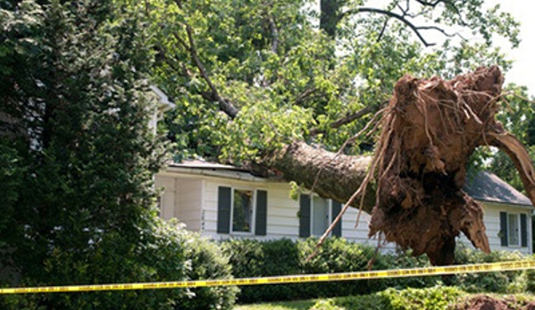 Southeastern Tree Removal - Columbia, SC