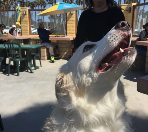 Surfside Seafood - Port Hueneme, CA