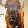 Frontier Communications gallery