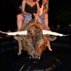 Boss Mechanical Bull Sales & Rentals gallery