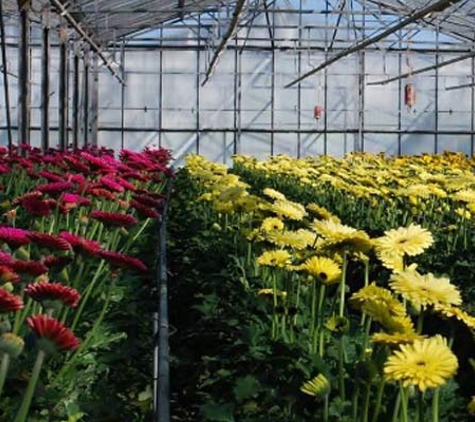 Floraco Pty Ltd - West Leederville, WA