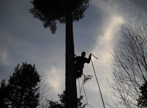 Phil's Tree Services - Munising, MI