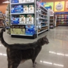 Chow Hound Pet Supplies gallery