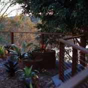 Gallery Image Number 6