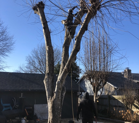 Custom Tree Care & Landscaping llc - Broken Arrow, OK