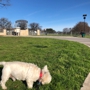 Z Bonz Dog Park