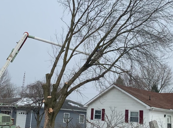 Moore's Tree Service