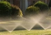 Cesar Tree Service - Tree Service