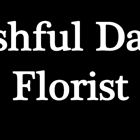 Bashful Daisy Florist