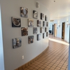 VCA Douglas County Animal Hospital gallery