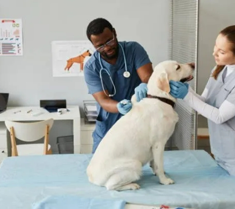 Canal Animal Clinic - Lake Worth, FL