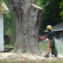 Affordable Tree Care