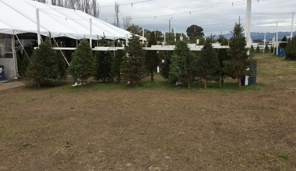 Brent's Christmas Trees - Oakland, CA