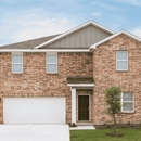 Harrington Trails at the Canopies By Starlight Homes - Home Builders
