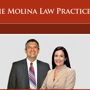 Molina Law Practice