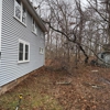White Oak Tree & Landscaping gallery