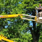 Critter Control of Mansfield