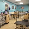 Petco Grooming gallery