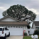 Reliable Tree Service - Tree Service