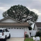 Reliable Tree Service