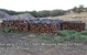Mesquite Wood For Sale San Antonio - Firewood