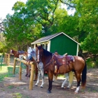 Eagle Eye Ranch Carriage Company