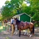 Eagle Eye Ranch Carriage Company