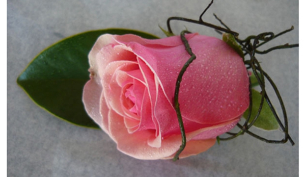 Floral Designs - Bathurst, NSW