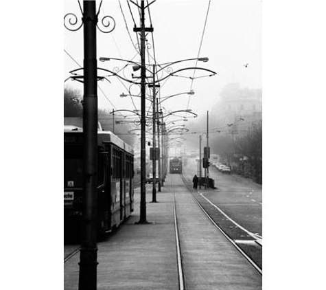 Matt Irwin Photography - Gardenvale, VIC