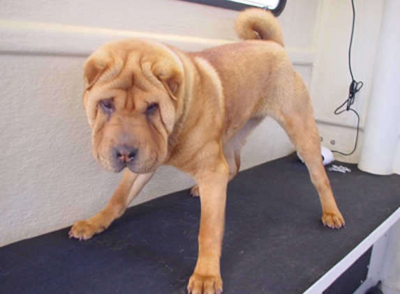 Man's Best Friend Dog Grooming - Strathfieldsaye, VIC
