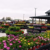 Ritter's Garden Center & Nursery gallery