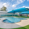 Pet Paradise gallery