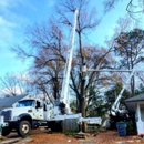 T&J Tree Experts - Tree Service