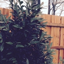 Suburban Fence Co - Fence-Sales, Service & Contractors