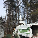 GT Optimo Tree Services, Inc - Tree Service