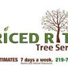 Priced Rite Tree Service gallery