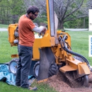 TreeCareHQ Lynn - Stump Removal & Grinding