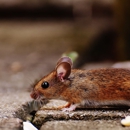 Reliant Pest Control - Pest Control Equipment & Supplies