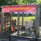 Pavo Hardware & Feed