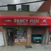 Fancy Fish gallery