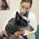 Short Pump Animal Hospital - Veterinarians
