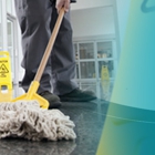 Dust and Shine Cleaning Service