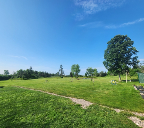 Peaks Paws Dog Boarding-Stay & Play - Chaumont, NY