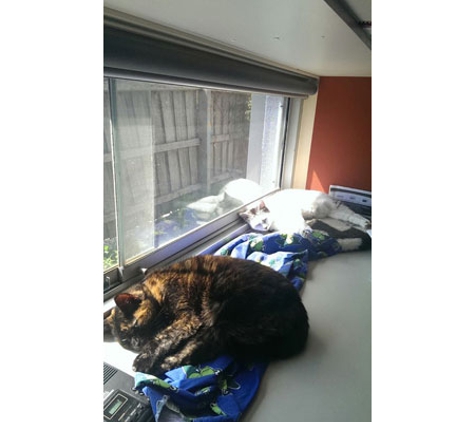 Petstock Vet Hospital - Altona North - Altona North, VIC