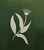Flora Landscapes Logo