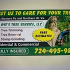 Ryan Dye's Tree Seervice LLC